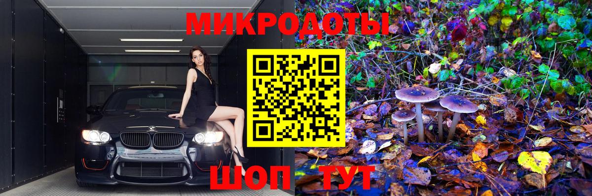 Псилоцибиновые грибы мухоморы Качканар