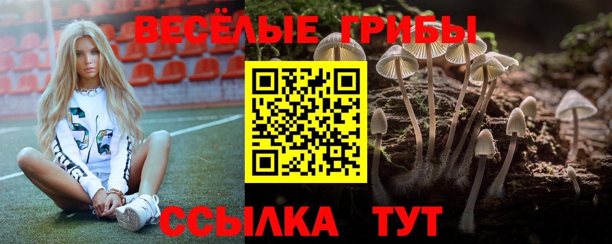 Галлюциногенные грибы Psilocybe  Вход с VPN  что такое   Псилоцибиновые грибы прущие грибы  Качканар 